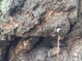 JYDF7593.MOV JYDF7593.MOV