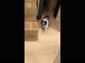 アネット アネット
